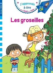Sami et Julie CP Niveau 3 Les Groseilles