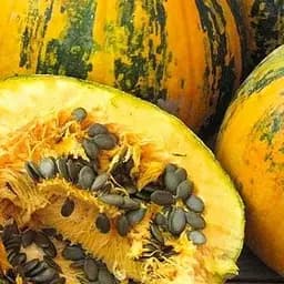 Тыква Весна Голосеменная (в банке) 100г (52435)