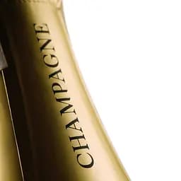 Вино ігристе Bernard Remy Rose, 12%, 0,75 л (ALR16099) - мініатюра 3
