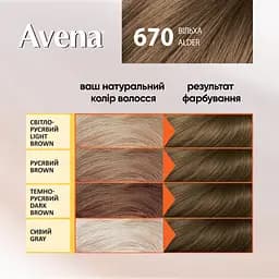 Cтійка крем-фарба для волосся Avena Shine Color вільха 670 138 мл - мініатюра 4