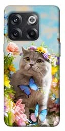 Чехол itsPrint Spring cat для OnePlus 10T