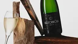 Вино ігристе Vallformosa Origen Cava Reserva Brut біле брют 0.75 л - мініатюра 2