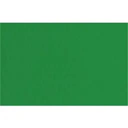 Бумага для пастели Fabriano Tiziano A4 (21х29.7см) №37 biliardo 160г/м2 зеленое среднее зерно