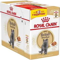 Набір вологого корму для дорослих кішок породи британська короткошерста Royal Canin British Shorthair Adult шматочки в підливі 1.02 кг (12 шт. х 85 г)