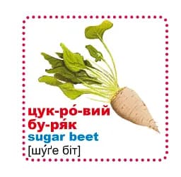 Розумні картки. Із чого це зроблено. 30 карток - мініатюра 4