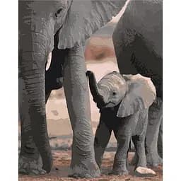 Картина по номерам Будущий гигант 40х50 см 11614-AC