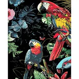 Набор для рисования по номерам Strateg Яркие попугаи на черном фоне 40 х 50 см (AH1201-19)