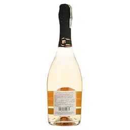 Вино ігристе Paololeo RosaRose Negroamaro Brut Spumante Rose рожеве брют 0.75 л - мініатюра 2