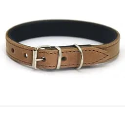 Нашийник для собак Zoo-hunt шкіряний з неопреном О делікат рудий 1,6/23-31 см