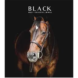 Зошит загальний Школярик Star Black classic у лінію 96 аркушів 5 шт. (096-3388L)