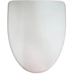 Сиденье для унитаза AM.PM Bliss L (C537851WH)
