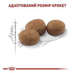 Уцінка. Сухий корм для дорослих стерилізованих кішок та кастрованих котів Royal Canin Sterilised, 4 кг - мініатюра 3