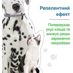 Нашийник Elanco (Bayer) Foresto від бліх та кліщів для кішок і собак малих порід 38 см - мініатюра 8