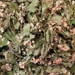 100 г боярышник цвет сушеный  - свежий урожай