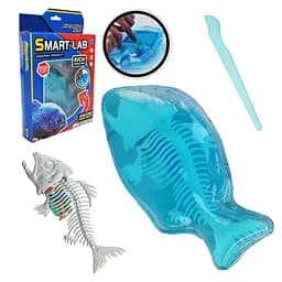 Игрушечный лабораторный набор Акула, 802B, скелет, внутренние органы, инструмент
