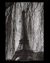 Paris Blues - мініатюра 5