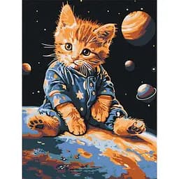 Картина по номерам "Зоряний котик" Ideyka KHO6646 30 x 40