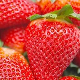 Саджанець Agro-Market Полуниця Джолі (Joly) (середній термін дозрівання) 5 шт. в пакуванні (25734)