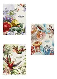 Комплект 3 шт общих тетрадей. Тетрадь Школярик А4 48 л. в линию 5081 4823088229776