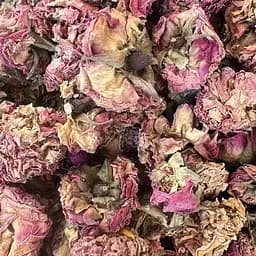 100 г троянда садова бутони сушені ароматні – свіжий урожай