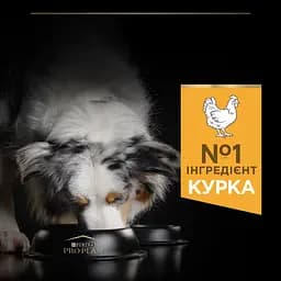 Сухий корм Purina Pro Plan Medium Adult 1+ Everyday Nutrion для дорослих собак середніх порід з куркою 3 кг (12279419) - мініатюра 6