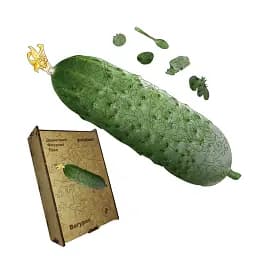 Деревянный фигурный пазл Огурец, А5, Деревянная коробка 35 элементов