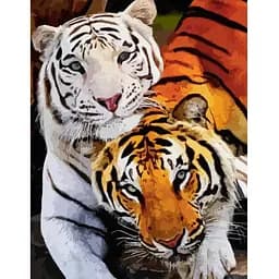 Полотно на картоне с контуром Rosa Start Животные №11 30х40 хлопок акрил