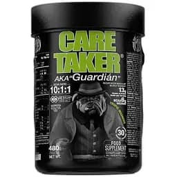 Аминокислота Zoomad Labs Labs Caretaker BCAA 480 грамм Тропик