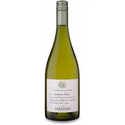 Вино Errazuriz Sauvignon Blanc Aconcagua Costa Single Vineyard, белое, сухое, 13%, 0,75 л
