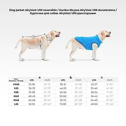 Куртка двостороння AiryVest Uni розмір S 33 блакитно-чорна   - мініатюра 2