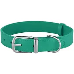 Ошейник для собак BronzeDog Barksi Classic кожаный XS 23-30х1.2 см бирюзовый