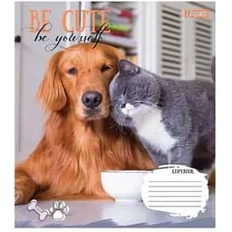 Зошит учнівський 766978 Різнокольоровий (4823092284068)(SC)