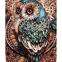 Алмазна вишивка мозаїка на підрамнику 40*30 см стразами райдужна Сова