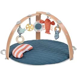 Розвиваючий килимок Ingenuity Cozy Spot Harbor Haven (17486)