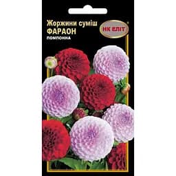 Насіння НК Еліт Жоржини суміш Фараон помпонна 0.3 г (70621)