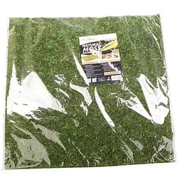 Фон з натурального моху Repti-Zoo Natural Moss Back & Bottom 45x45см 2 шт (NCM4545) для тераріуму