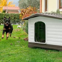 Будка для собаки Ferplast DOGVILLA 70 (FR87257099) - мініатюра 3