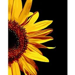 Картина за номерами ZiBi Art Line Промені соняху 40х50 см (ZB.64142)