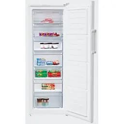 Морозильна камера Beko RFNE290L21W - мініатюра 2