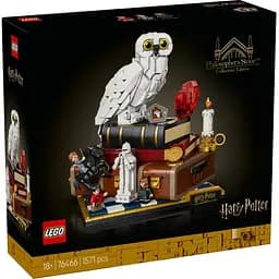 Конструктор LEGO Harry Potter Философский камень. Коллекционный набор 1571 деталь (76466)