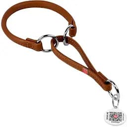 Нашийник-зашморг для собак Waudog Soft шкіряний з QR паспортом, круглий, S, Д 10 мм, Дов 41-50 см (4820152567239)