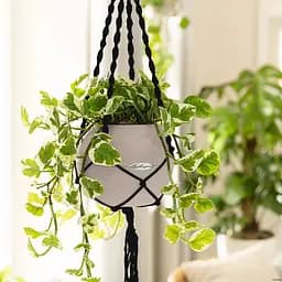 Підвіс Lechuza Macramé BOHO 90 чорний (13878) - мініатюра 4