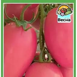 Семена Весна Томат Новичок розовый 0.2 г (10451)