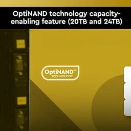 Жорсткий диск WD 10TB 3.5" 7200 256MB SATA Gold - мініатюра 5