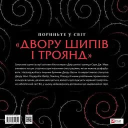 Розмальовка Двір шипів і троянд - мініатюра 2