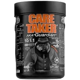 Аминокислота Zoomad Labs Labs Caretaker BCAA 480 грамм Апельсин