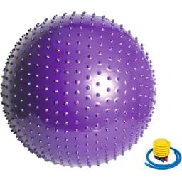 Мяч для фитнеса (фитбол) массажный "HMS" Newt NE-MAS-65-V фиолетовый 65 см
