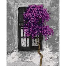 Картина по номерам Контраст жизни 40х50 см 11202-AC