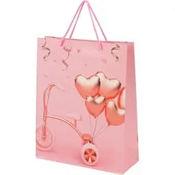 Пакет подарунковий DV-2118M Різнокольоровий