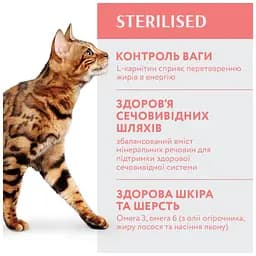 Сухий корм для стерилізованих/кастрованих котів Optimeal з яловичиною та сорго 10 кг (B1831401) - мініатюра 4